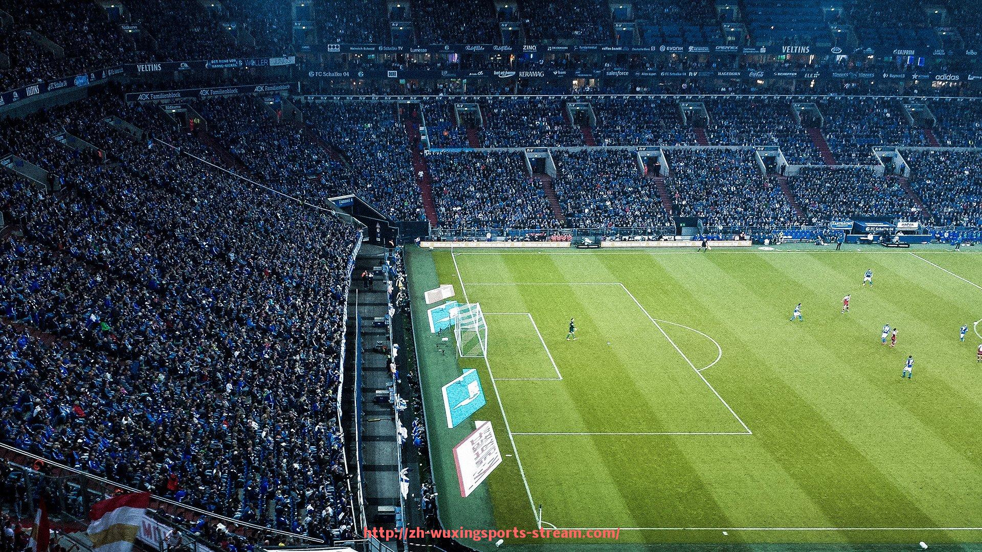 五星体育直播-健身器材的正确使用方法有哪些,避免运动伤害?(健身器材使用方法大全)